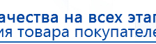 СКЭНАР-1-НТ (исполнение 01 VO) Скэнар Мастер купить в Магадане, Аппараты Скэнар купить в Магадане, Медицинская техника - denasosteo.ru